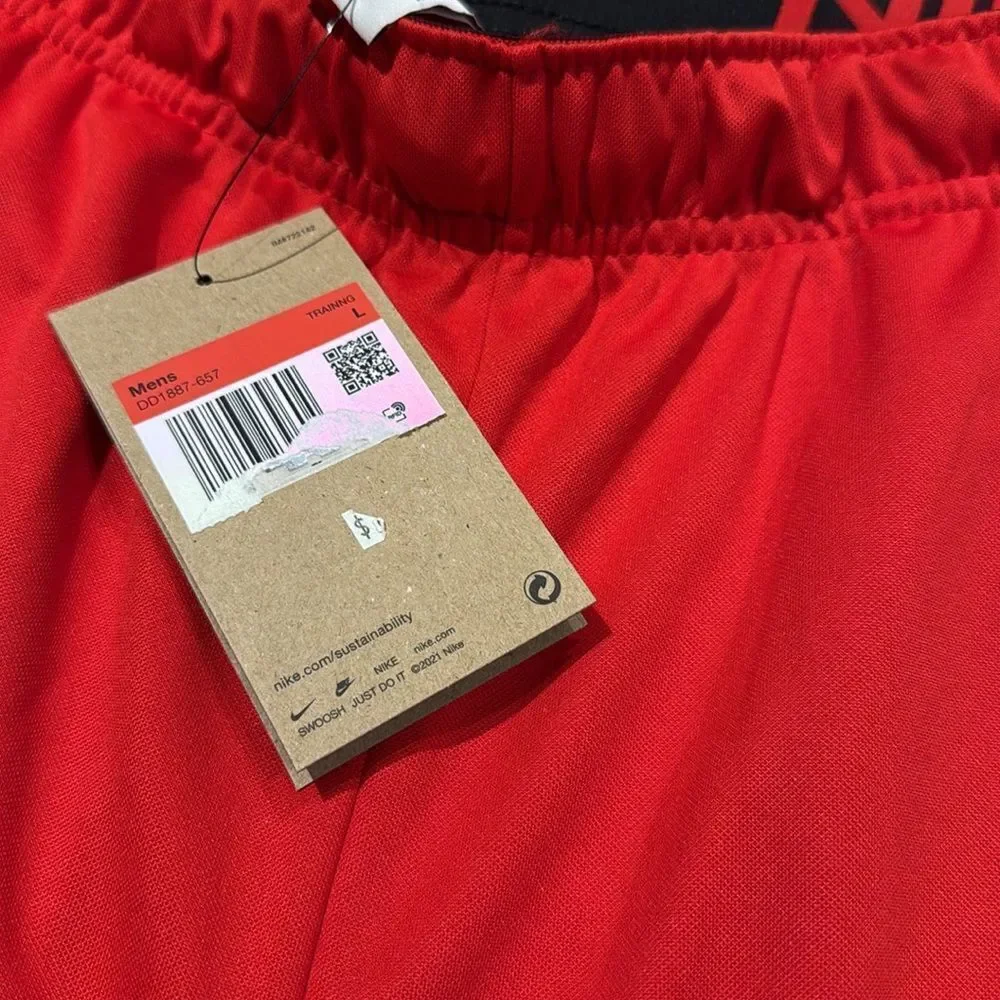 Mens Size Large standard fit Nike shorts  NWT